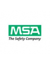 MSA